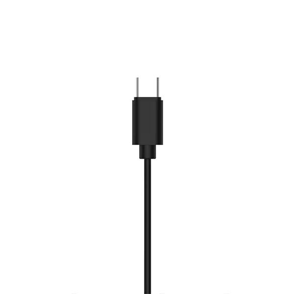 Philips TAE2146 黑色 1.2M 封閉式 USB-C 內置麥克風 氣密高音質 有線入耳式耳機【原裝行貨】
