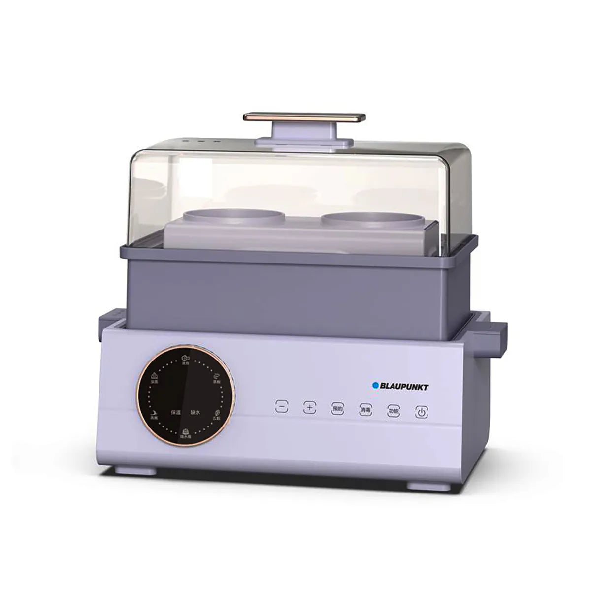 BLAUPUNKT MK-FS01UK electric steamer 