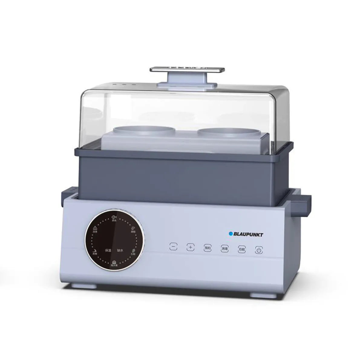 BLAUPUNKT MK-FS01UK electric steamer 